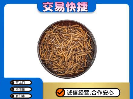 三明市三元礼品回收虫草.jpg